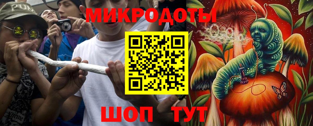 Галлюциногенные грибы прущие грибы Благовещенск